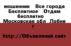 мошенник - Все города Бесплатное » Отдам бесплатно   . Московская обл.,Лобня г.